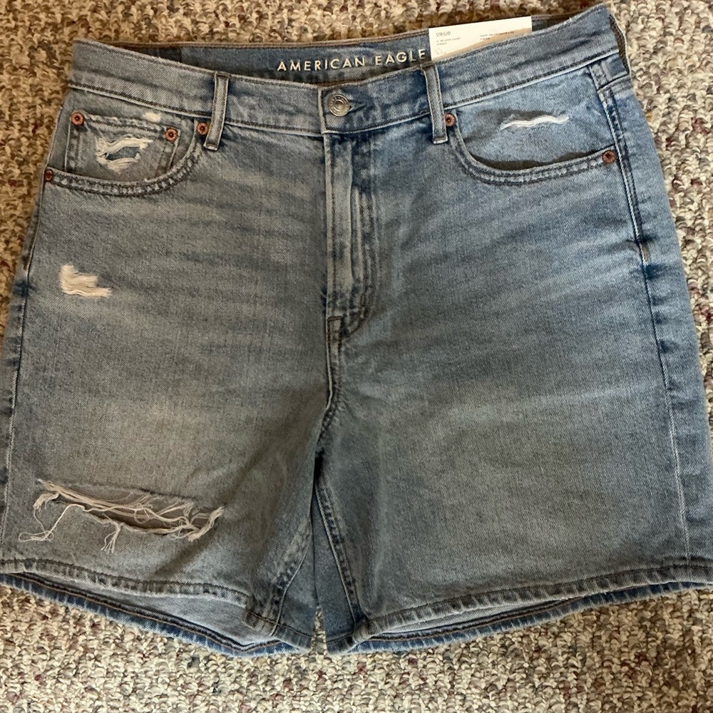 American Eagle Outfitters Light Blue Distressed Denim Shorts